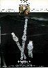 Vacheron 1980 191.jpg